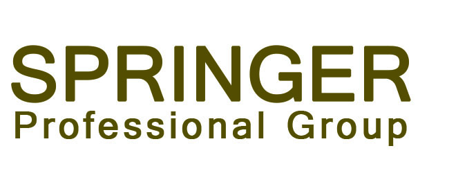 SPRINGER Professional Group Limited