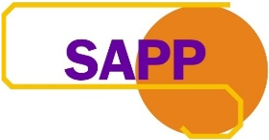 SAPP Security Company Ltd