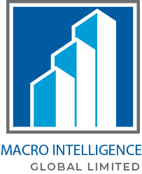 Macro Intelligence Global limited